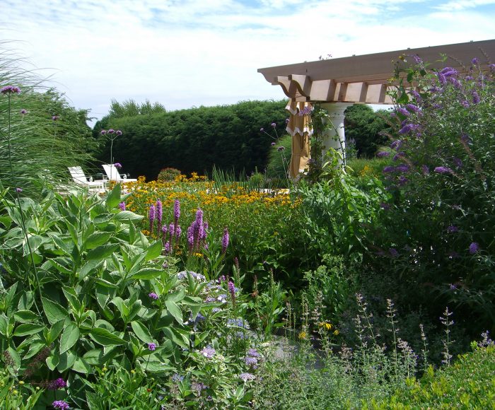 Bluewater Hill